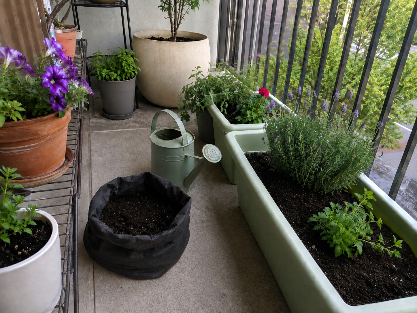 Weeded the balcony