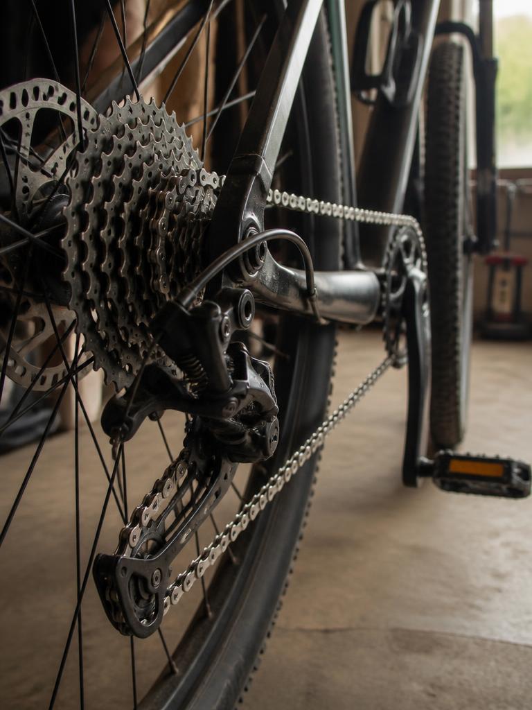 Clean the bike chain